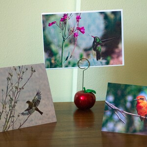 Südwestliche Grußkarten künstlerische Vogel Fotos 5 x 7 hohe Auflösung