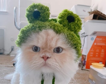 Furry froggy hat with ear holes (cat accessories, small animal accessories, frog hat, cat gifts, yarn, cat hat)