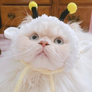 Bee hat for cat or samll animal *New Design with adjustable antenna* (cat accessories, small animal accessories, cat gifts, hats, costume)