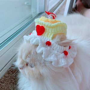 Birthday cake hat for cat or small animal (cat accessories, cat birthday hat, cat gifts, knitted, yarn, cat hat, costumes)