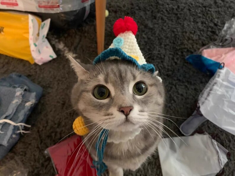Knitted Yarn Birthday Hat for Cat or Small Animal cat Etsy