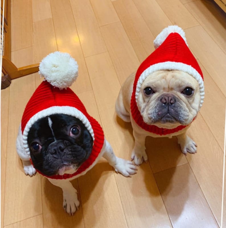 Red christmas knitted hat / beanie for cat or dog, small and large animals image 1