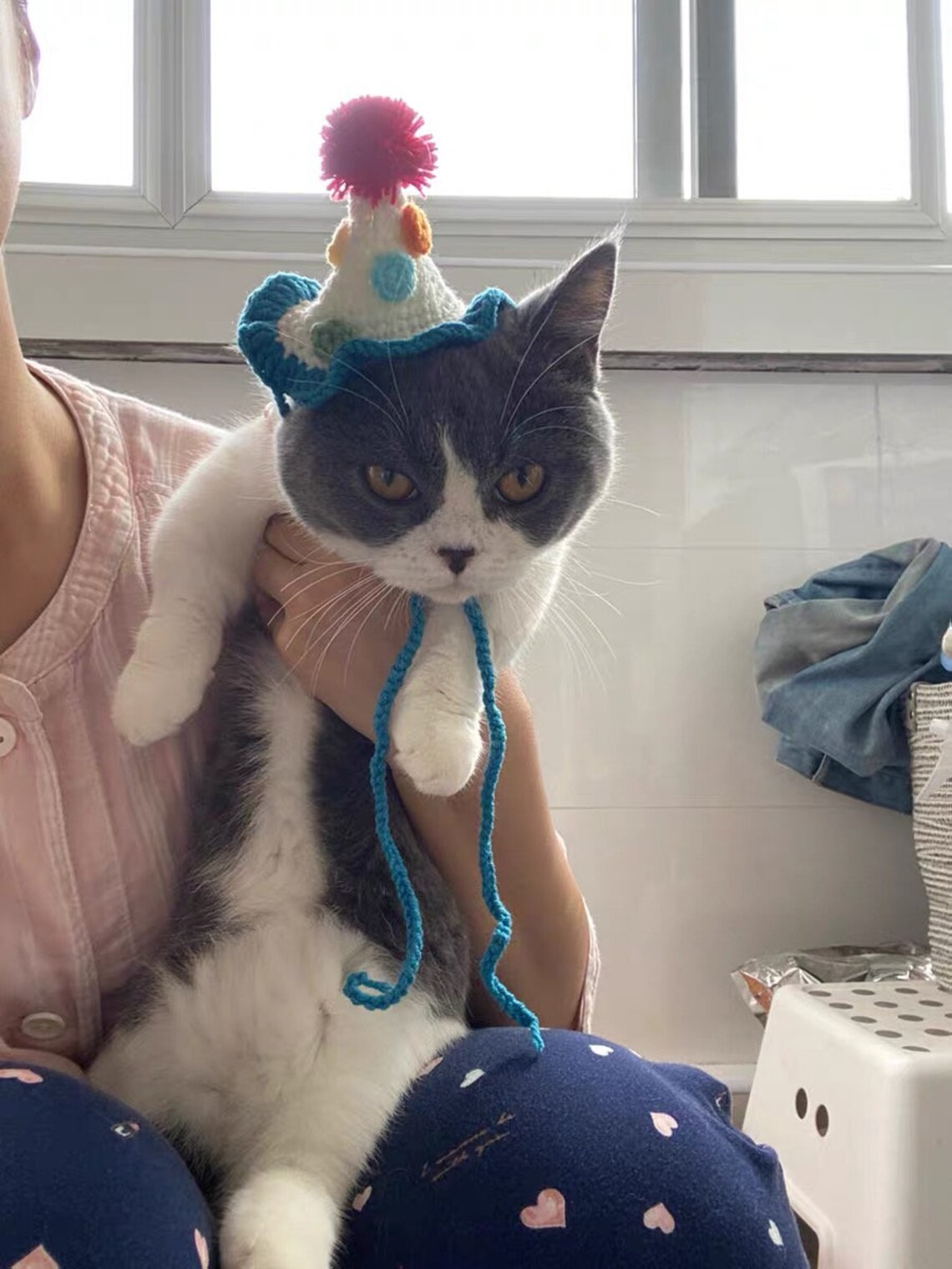 Knitted yarn birthday hat for cat or small animal cat Etsy