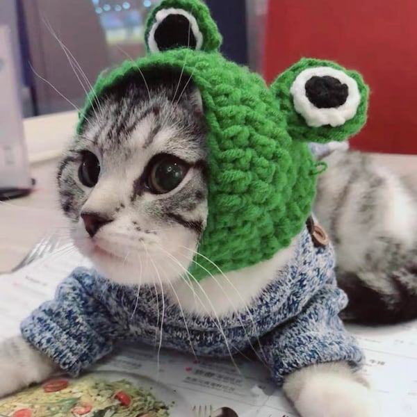 Green knitted yarn frog hat for cat or samll animal small and medium (cat accessories, small animal accessories, cat gifts yarn, cat hat)