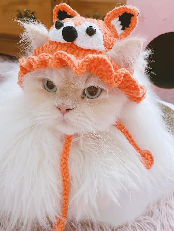 Un bonnet pour femme original avec ses oreilles de chats