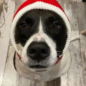 Red christmas knitted hat / beanie for cat or dog, small and large animals image 2