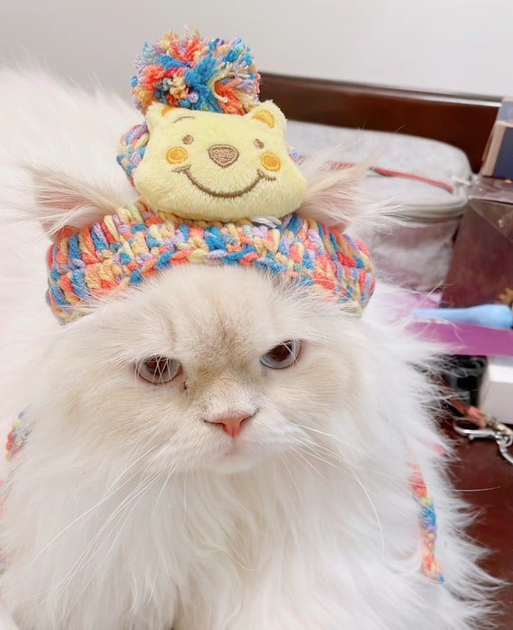 Persian top cat accessories