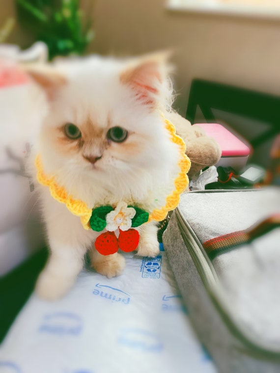 Cherry Daisy Yarn Collar for Cat or Small Animal Cat Accessories Small Animal Accessories Cat Gifts Knitted Yarn Collars Etsy