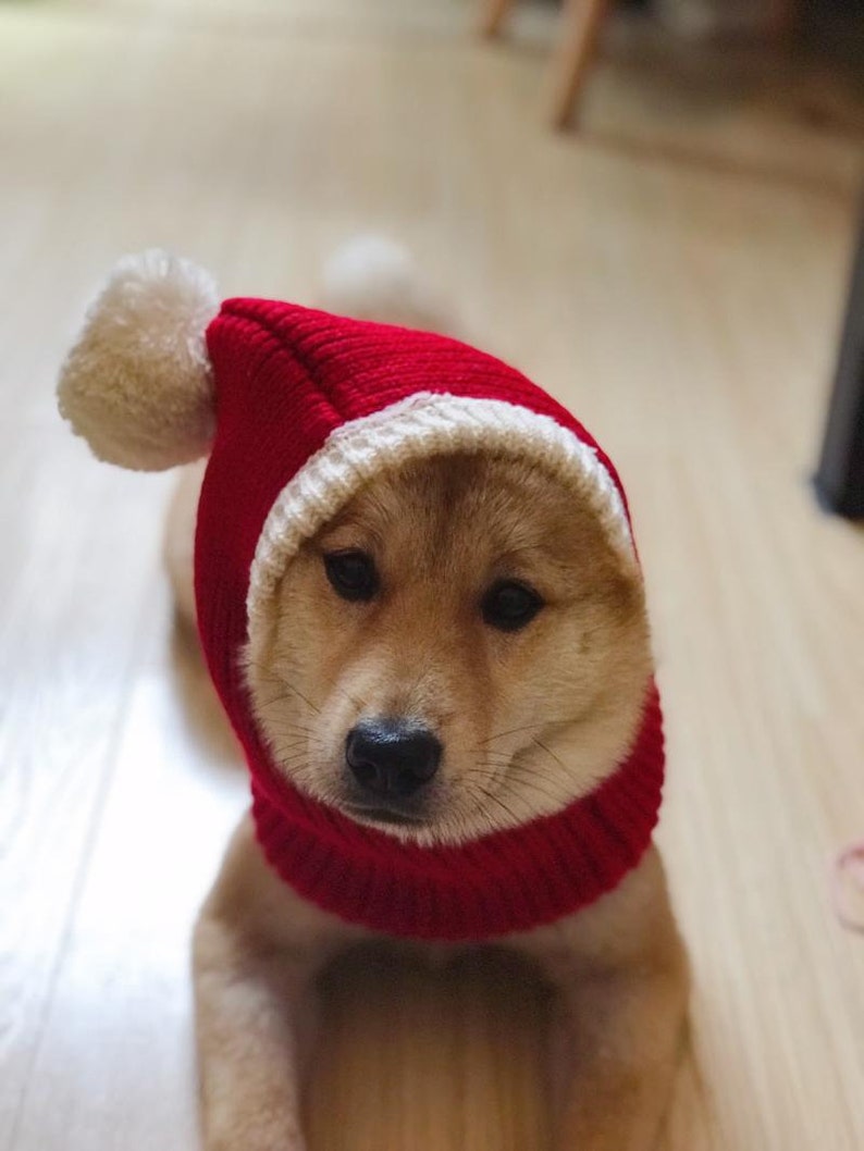 Red christmas knitted hat / beanie for cat or dog, small and large animals image 3