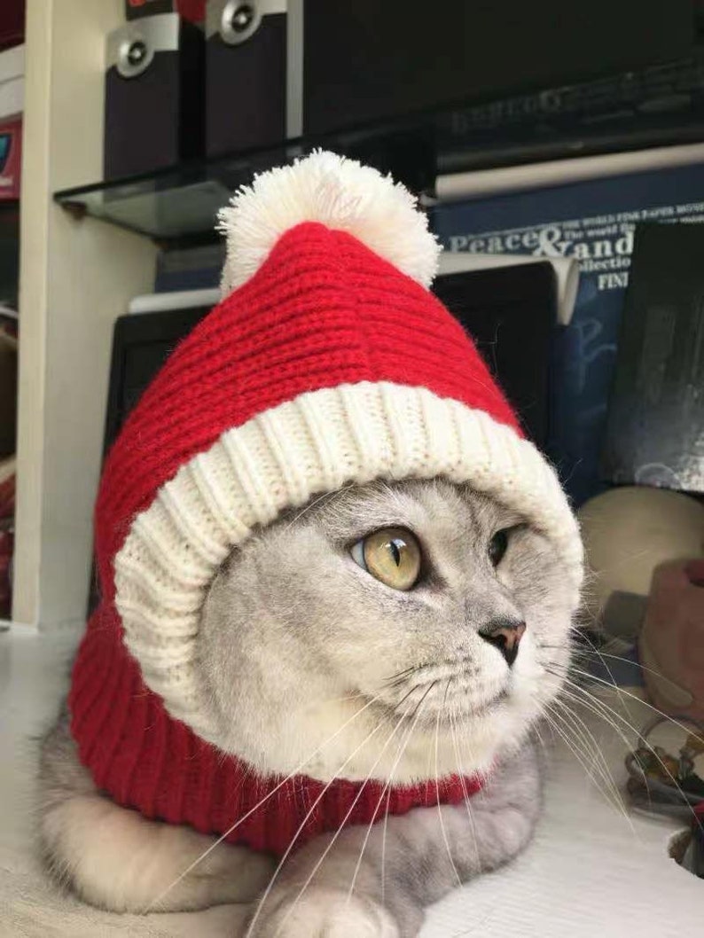 Red christmas knitted hat / beanie for cat or dog, small and large animals image 7