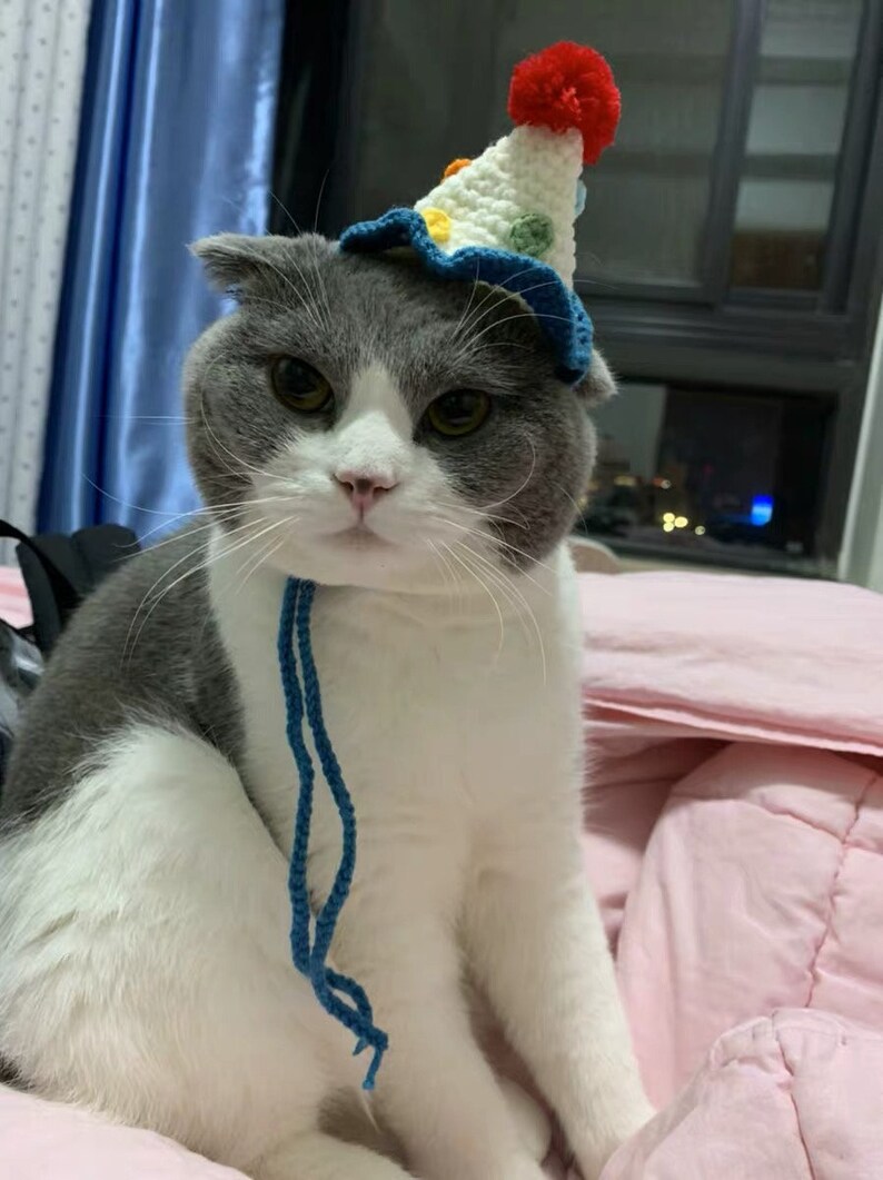 Knitted Yarn Birthday Hat for Cat or Small Animal cat Etsy