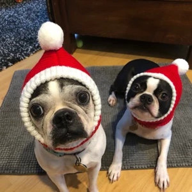 Red christmas knitted hat / beanie for cat or dog, small and large animals image 4