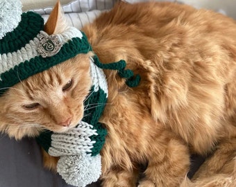 Wizarding house hat for cats, Slytherin house themed with or without pin (cat hat, beanie, enamel pin, dark green, gray)