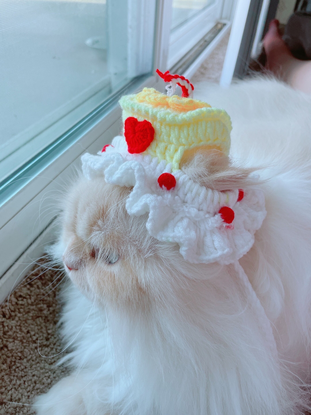 Birthday Cake Hat for Cat or Small Animal cat Accessories, Cat Birthday