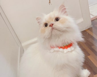 Variety colored collars, knitted collar for cat or small animal (cat accessories, cat collar, small animal accessories)