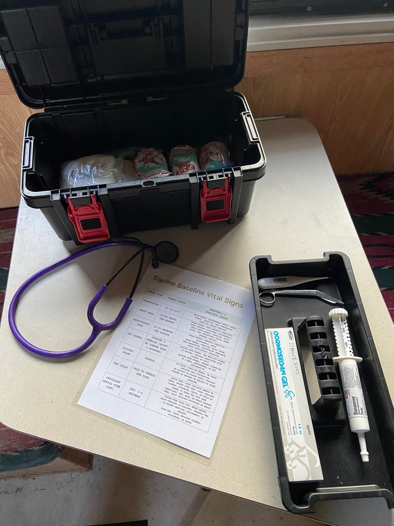 Equine First Aid Printable Vital Signs Chart Horse First Aid Kit