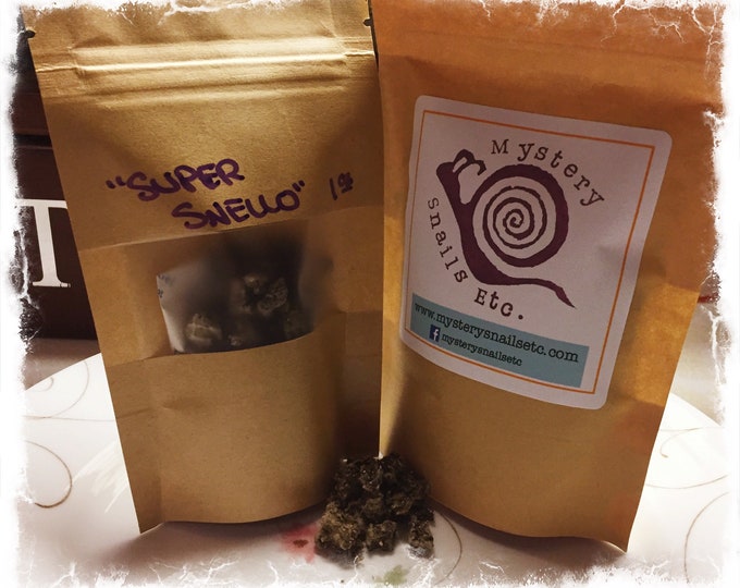 Calcium Vita Chews 4 Oz. Calcium Supplements for Aquatic Snails