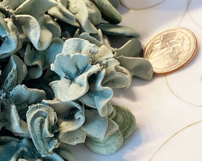 Calcium Vita Chews 4 Oz. Calcium Supplements for Aquatic Snails