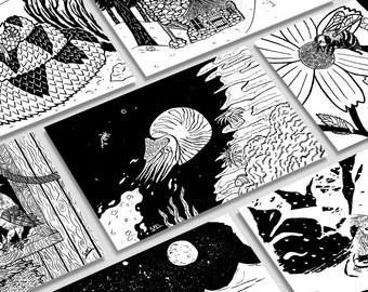 Nature Prints | 5"x7" Black & White Prints