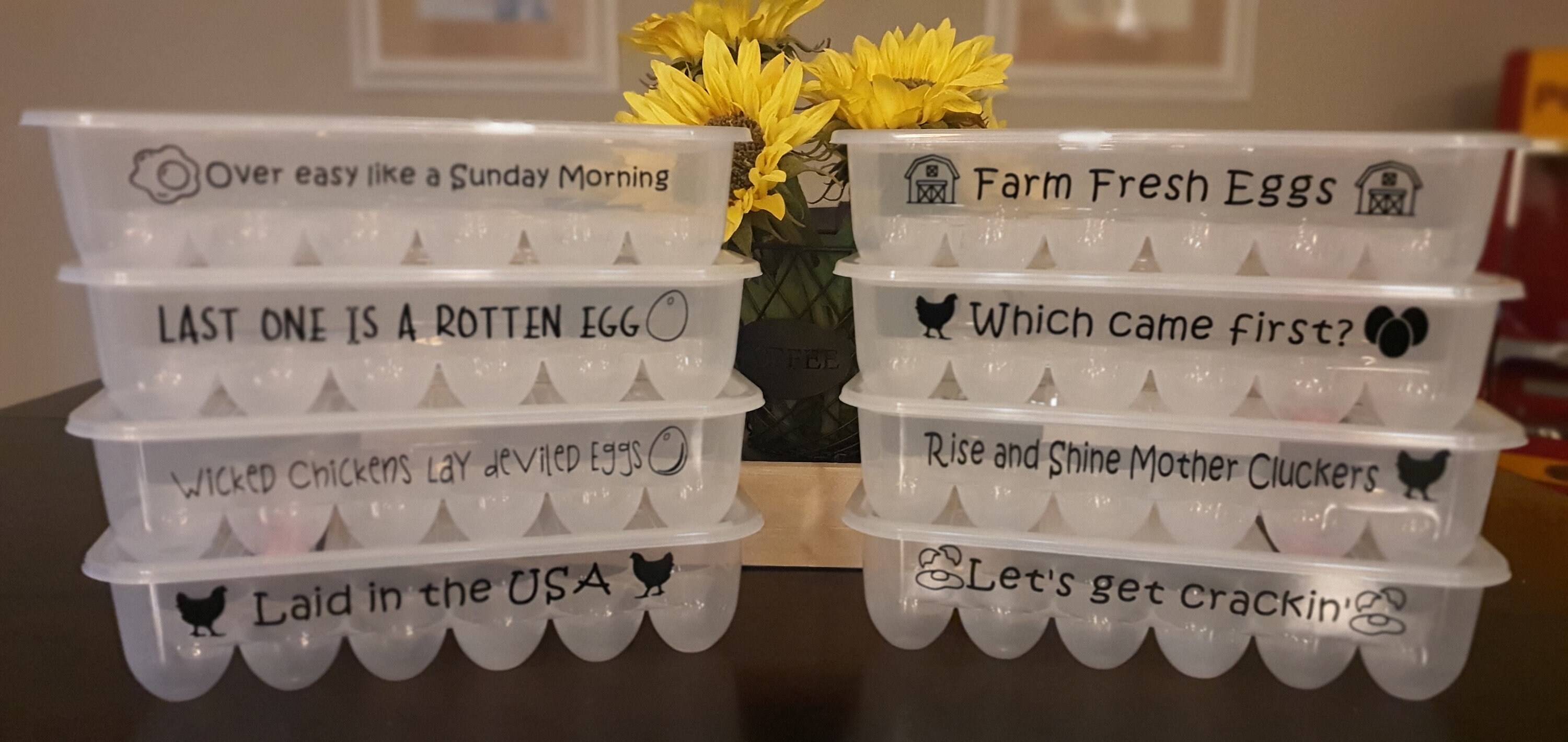 Funny Egg Cartons Plastic and Reusable Make Great Unique Etsy