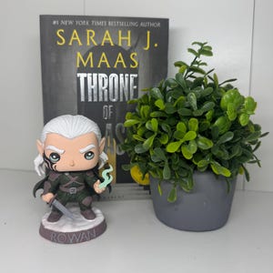 K&ouml;nnte beinhalten: Eine Rowan Funko Pop-Figur steht vor einem Buch mit dem Titel "Throne of Glass" von Sarah J. Maas. Die Figur hat wei&szlig;es Haar, eine schwarze Gesichtsmarkierung und ein gr&uuml;nes Outfit. Rechts befindet sich eine kleine Topfpflanze.