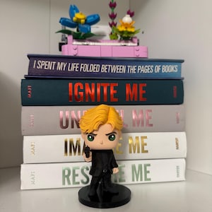 Pu&ograve; includere: Una composizione su una mensola con libri, tra cui i titoli "Ignite Me" e "Unravel Me". Una statuetta di un personaggio che tiene una pistola &egrave; posizionata davanti ai libri. Fiori Lego decorano la parte superiore dei libri.