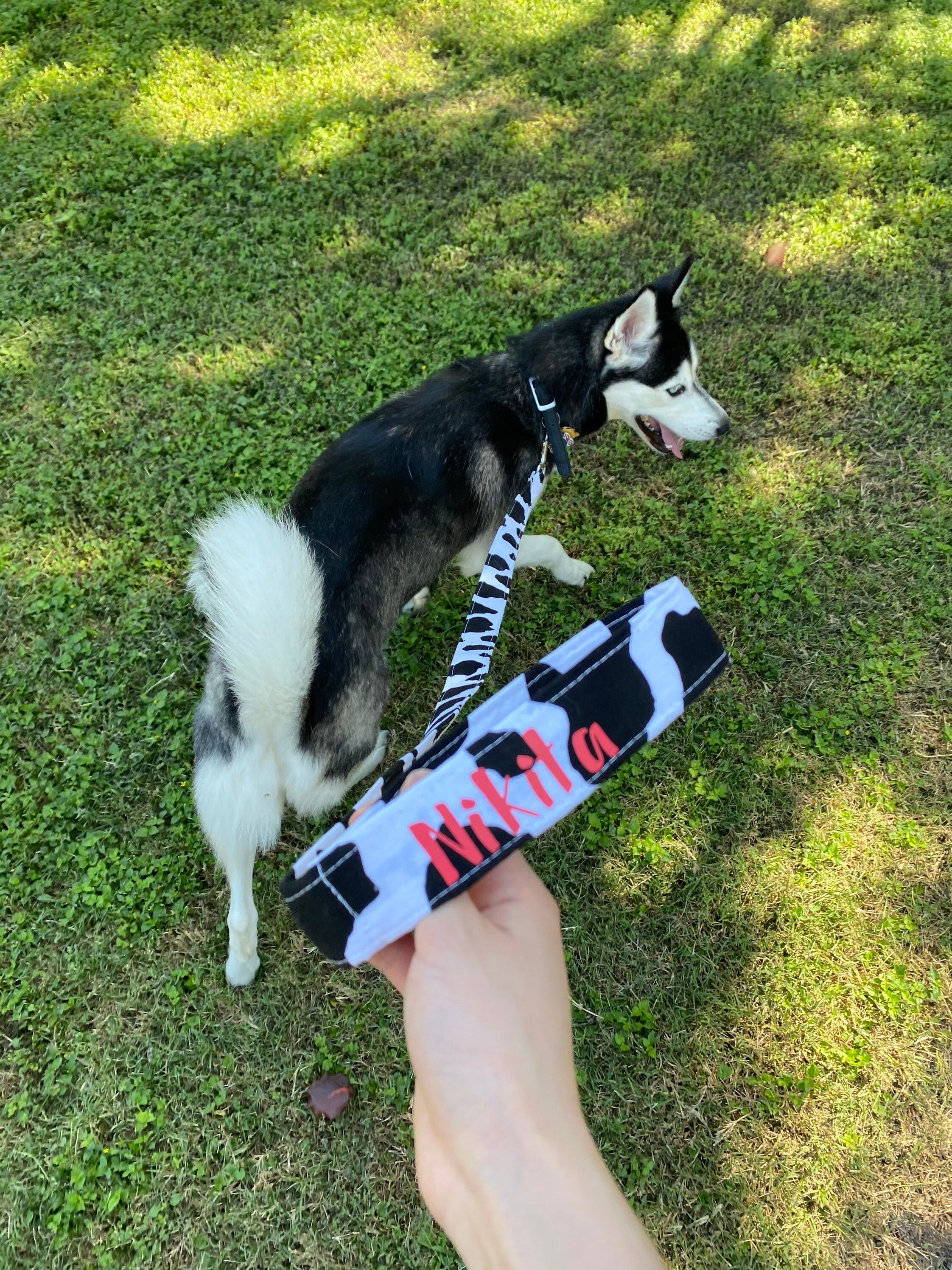 Custom Dog Leash/ cute accessories for Dogs Etsy