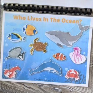 Ocean Habitat Busy Book Activity Printable - Sea Life, Biome, Preschool Science, Toddler Activities, Quiet Activity, Animals, Marine Life