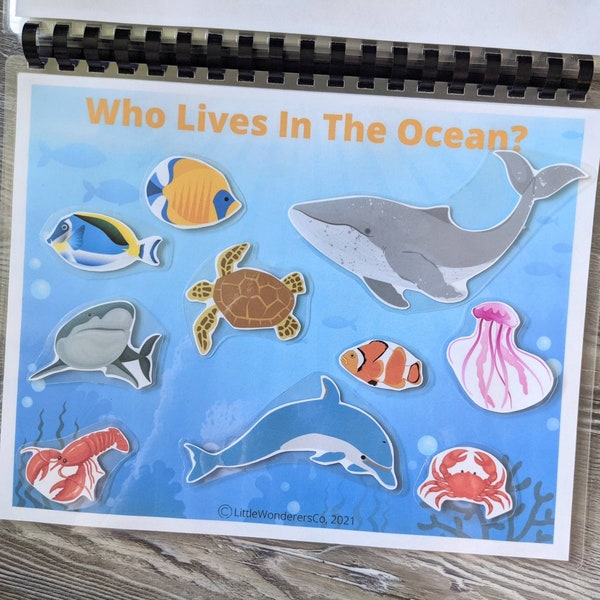 Ocean Habitat Busy Book Activity Printable - Sea Life, Biome, Preschool Science, Toddler Activities, Quiet Activity, Animals, Marine Life