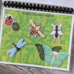 Insect Shadow Matching Busy Book Activity Page - Insects, Homeschool, Science, Learn, Preschool, Fun, Nature, Printable