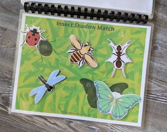 May include: A colourful educational game for children featuring insect shadow matching. The game includes a ladybug, a bee, a dragonfly, an ant, and a butterfly.
