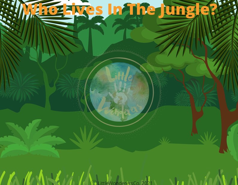 Jungle Habitat Busy Book Activity Page Printable Habitat, Animals
