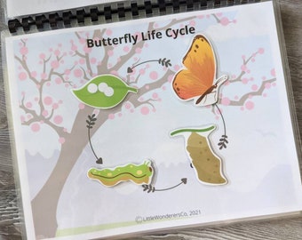 Butterfly Life Cycle Activity Printable - Science, Homeschool, Learn, Preschool, Busy Book, Quiet Activity, Life Stages
