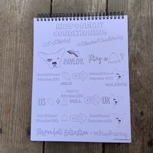 Op de afbeelding: Een wit vel papier met zwarte tekst en illustraties die het concept van respondente conditionering, ook wel klassieke conditionering genoemd, uitleggen. De tekst bevat de termen "#S-Pairing", "#ELICITS", "US", "UR", "NS", "CS", "CK" en "Respondent Extinction: #StopPairing".