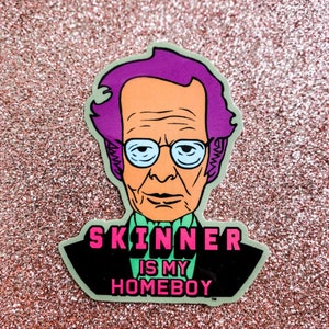 May include: A sticker featuring a cartoon illustration of a man with purple hair and glasses. The text on the sticker reads "Skinner is my homeboy".