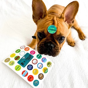 May include: A French bulldog puppy wearing a blue and green sticker that says "I read a chapter of my Cooper book" on its forehead. The puppy is looking at the camera. The puppy is holding a sheet of paper with colorful stickers on it. The stickers have various phrases on them, including "100%", "Gym", "Today", "To Work", "3 pat", "Money", "I Stuck", "Schedule", "Lunch", "I Did", "Millt", "Cleaned", "Made", "Don't", "Ate".