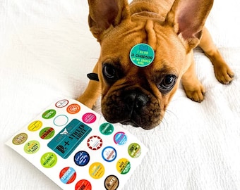 R+ Sticker Sheet | Reinforcement Stickers | School Stickers | BCBA Therapist sticker | ABA Therapy sticker | Behavior Analyst Sticker | RBT