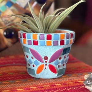 May include: A small, light blue mosaic flower pot with a butterfly design. The pot features a mosaic rim with red, orange, purple, and blue tiles. The butterfly is made of colorful mosaic tiles. The pot contains a green plant.