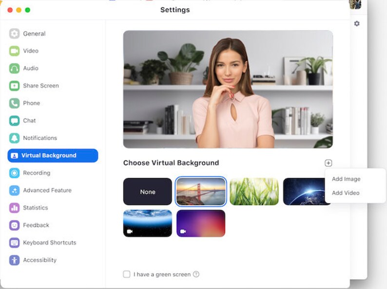 Virtual Background Zoom Meeting Background Plant Shelves Background