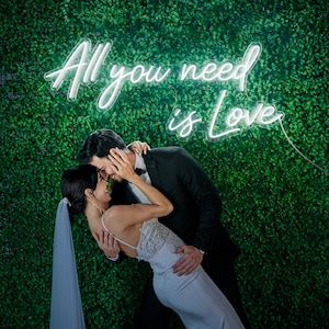 All you need is Love Neon Sign,Custom Neon Lights Decor,Wedding Neon Light, Personalized Neon Sign Custom,Valentines Day Gifts,Wedding Sign