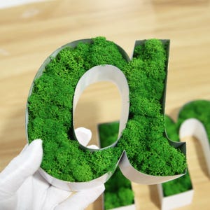 3D Moss Sign,Moss Company Logo Moss Wall Art,Custom Moss Logo,