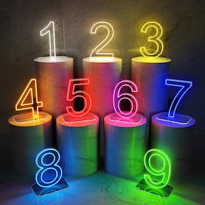 Light Up Numbers,Number Neon Sign For Birthday Party Decor,Birthday Gifts,Custom Birthday Decor,Neon Sign Number 1,21st Birthday Decor