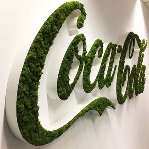 Letrero de musgo, Letrero de oficina de musgo para pared, Letras de musgo personalizadas, Letrero con logotipo personalizado, Decoración de pared de oficina, Letrero comercial, Letrero de recepción, Letrero de musgo con letras 3D