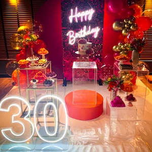 Light Up Numbers,21st Birthday Decor,Number Neon Signs for Birthdays, Custom 0-9 Neon Numbers,Number Neon Light, Birthday Gifts