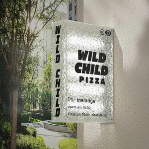 Light Box Sign,Store Front Sign,Projecting Light Box,Opening Sign,Outdoor Hanging Sign,Custom Light Box for Studio,Business Led Wall Sign