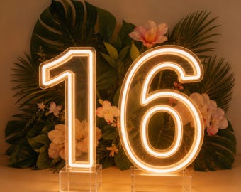 Light Up Numbers,21st Birthday Decor,Number Neon Signs for Birthdays, Custom 0-9 Neon Numbers,Number Neon Light, Birthday Gifts