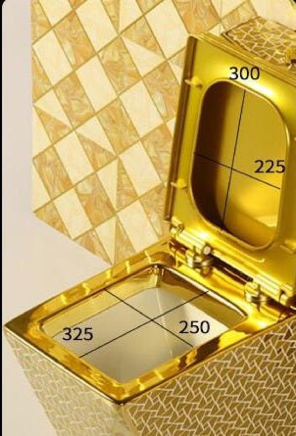 Inart Dual Flush One Piece Elongated Toilet With Actuator Etsy