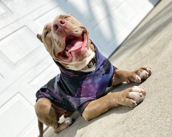 la galaxy dog jersey