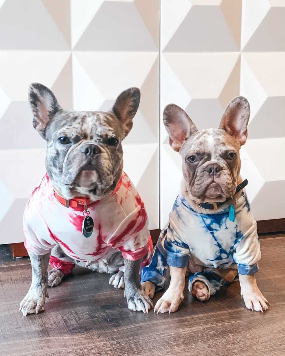 French Bulldog Pajamas - Etsy French Bulldog Pajamas - Etsy