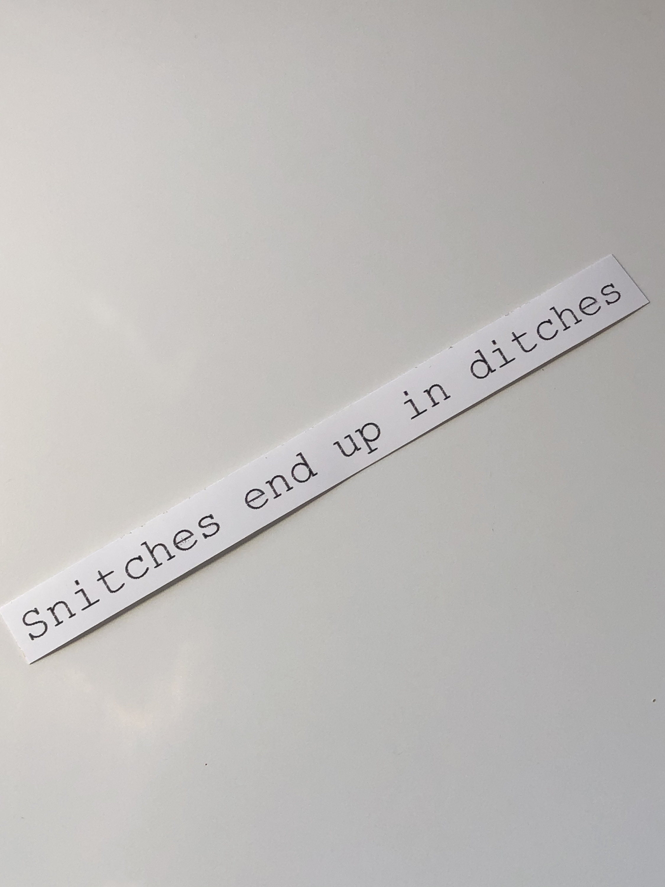 Snitches End up in Ditches Sticker Etsy UK